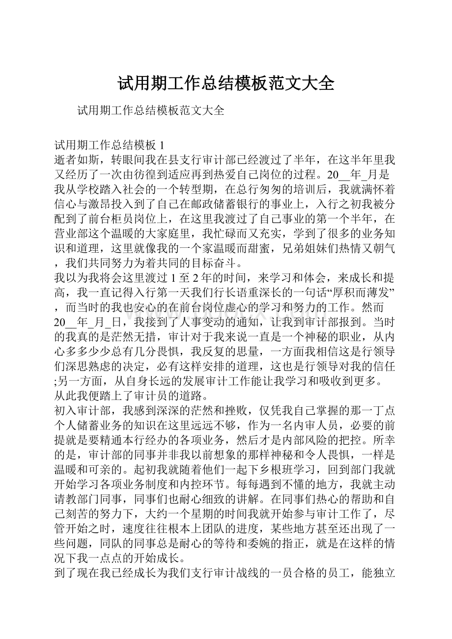 试用期工作总结模板范文大全.docx