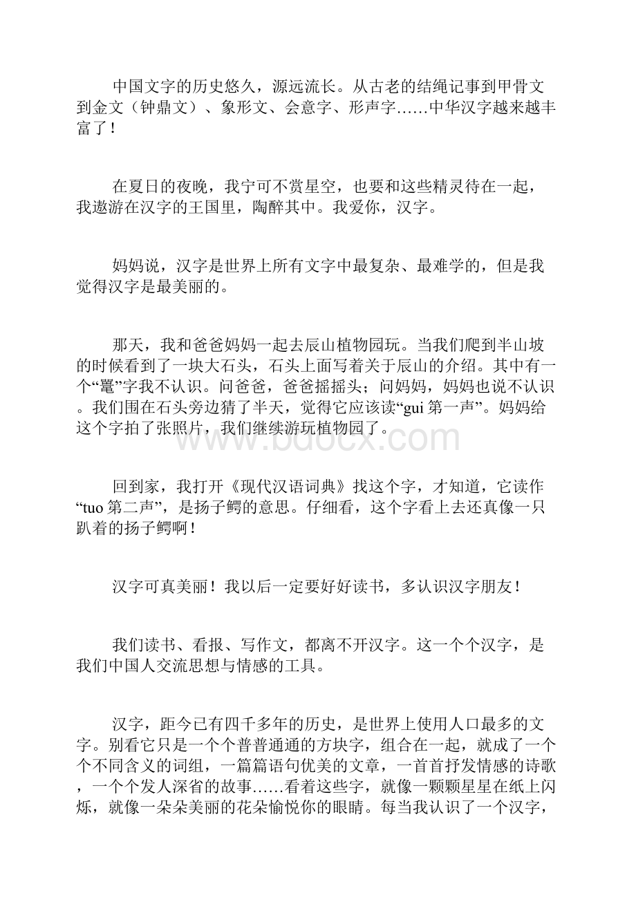 我爱中国汉字小学作文.docx_第3页