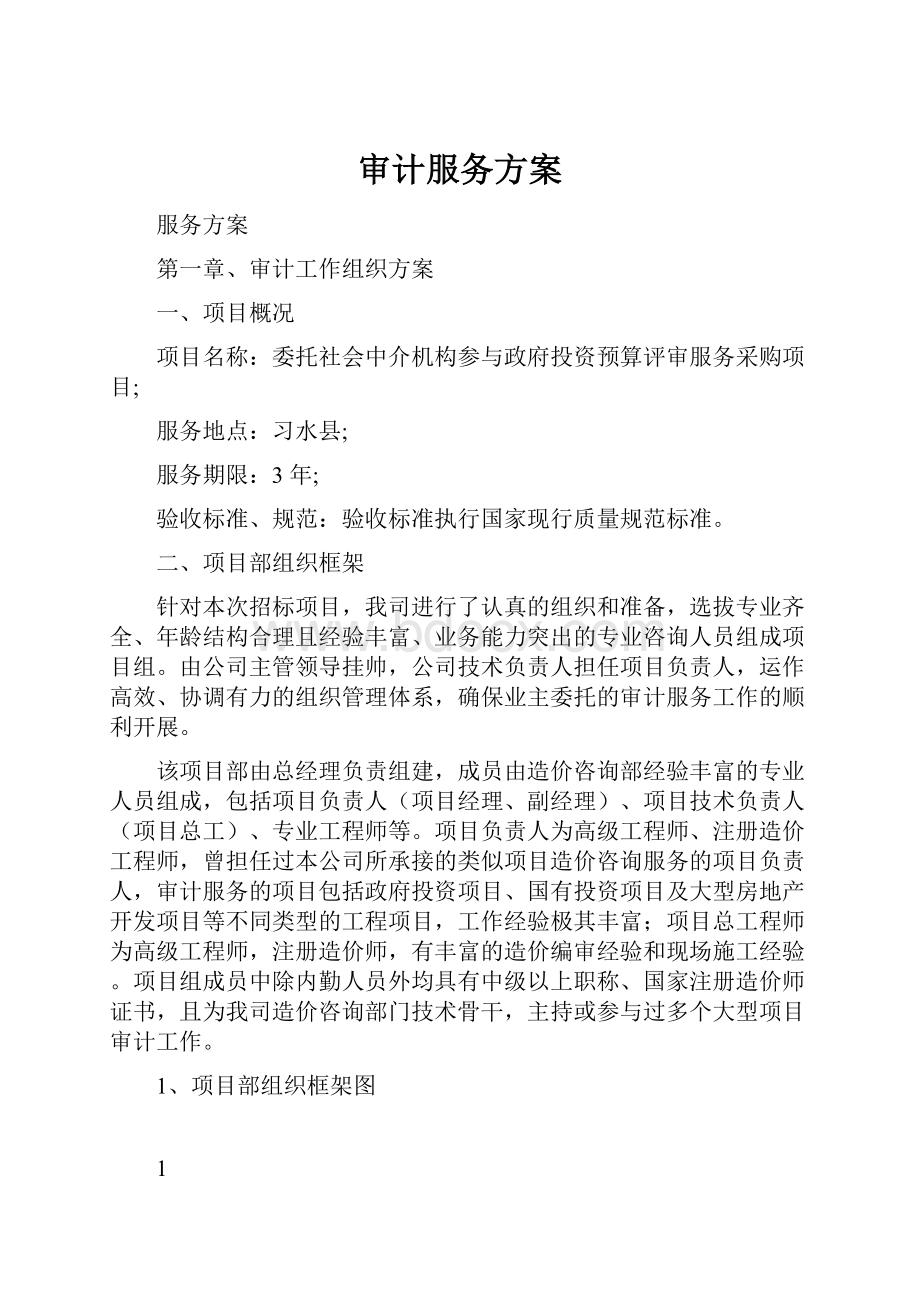 审计服务方案.docx_第1页