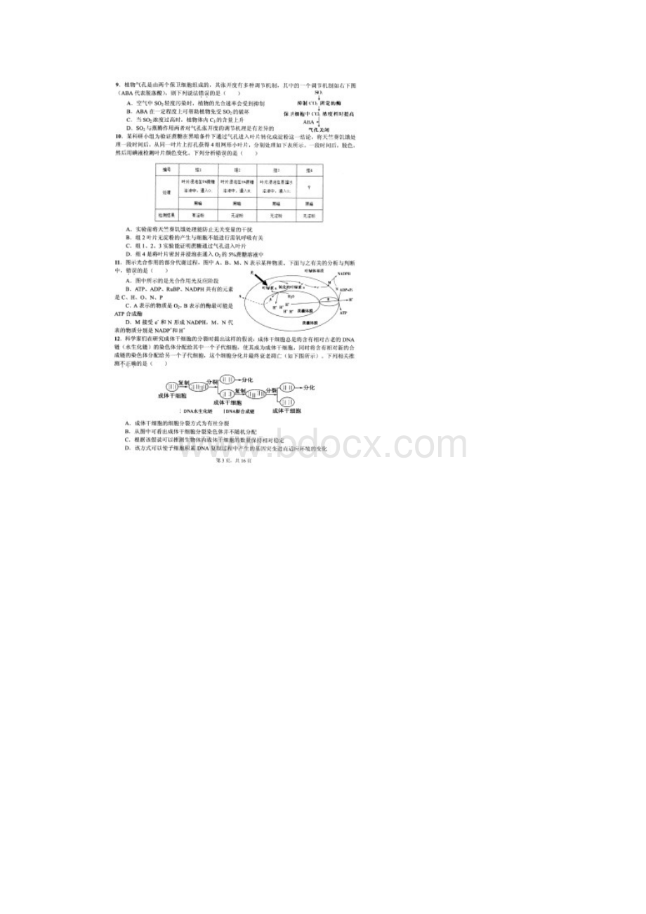 浙江省生物学竞赛试题及答案.docx_第3页