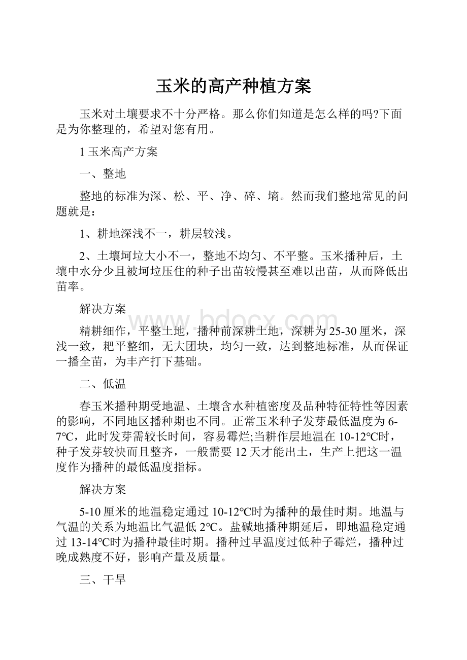 玉米的高产种植方案.docx_第1页