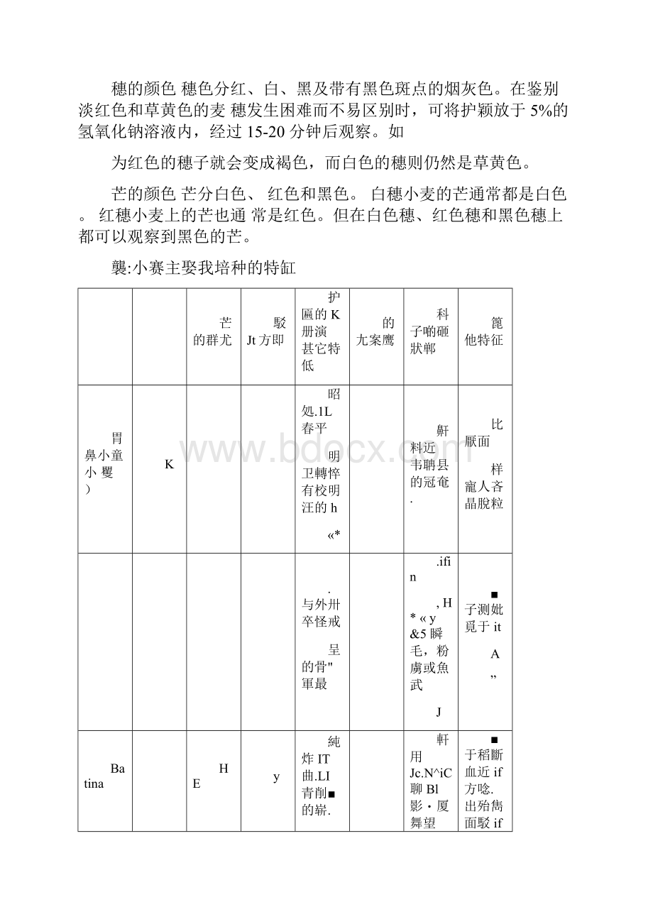 小麦形态特征的辨认.docx_第3页