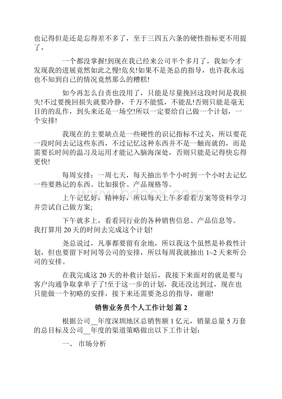 销售业务员个人工作计划范文汇总10篇.docx_第2页