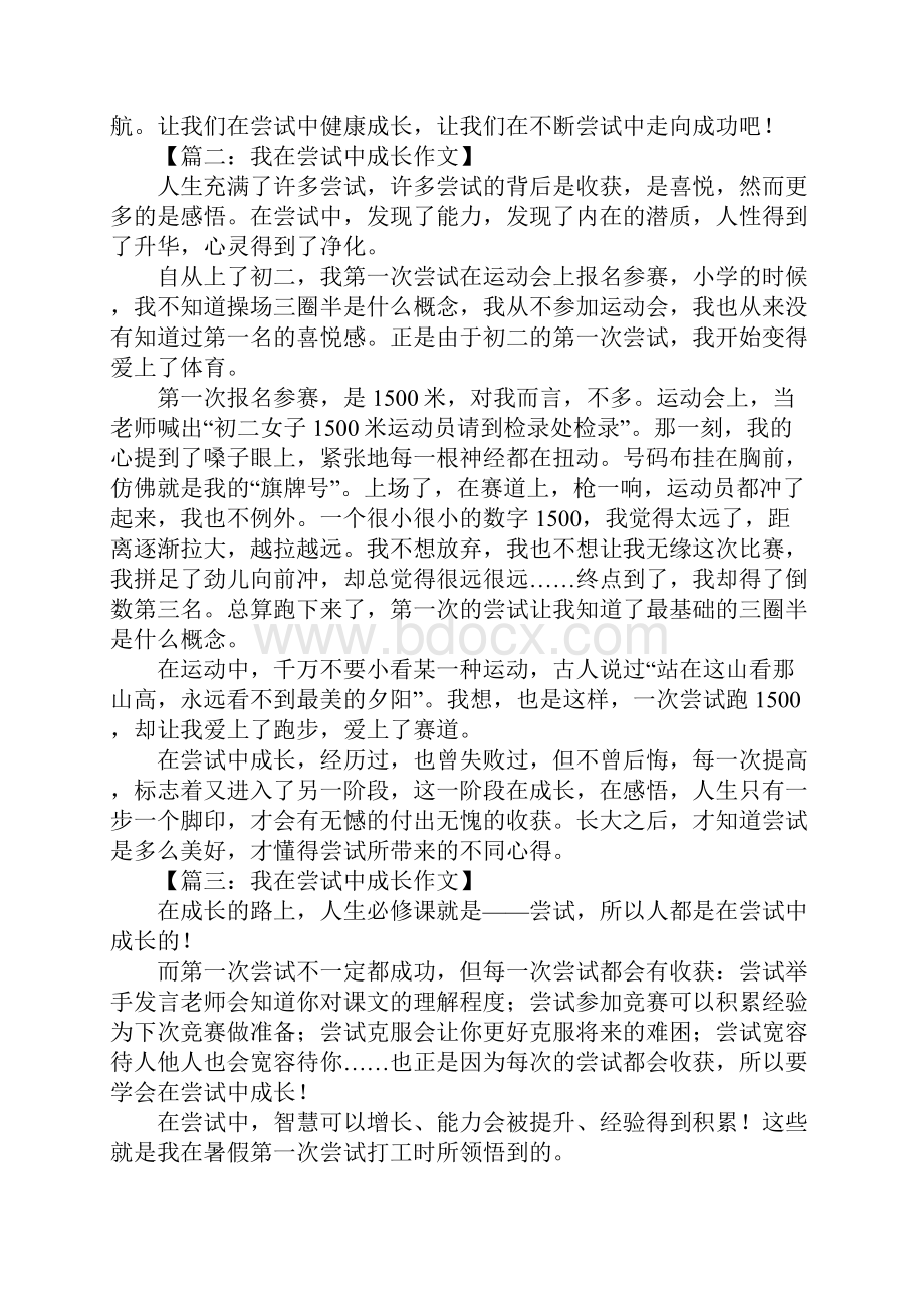 我在尝试中成长作文.docx_第2页