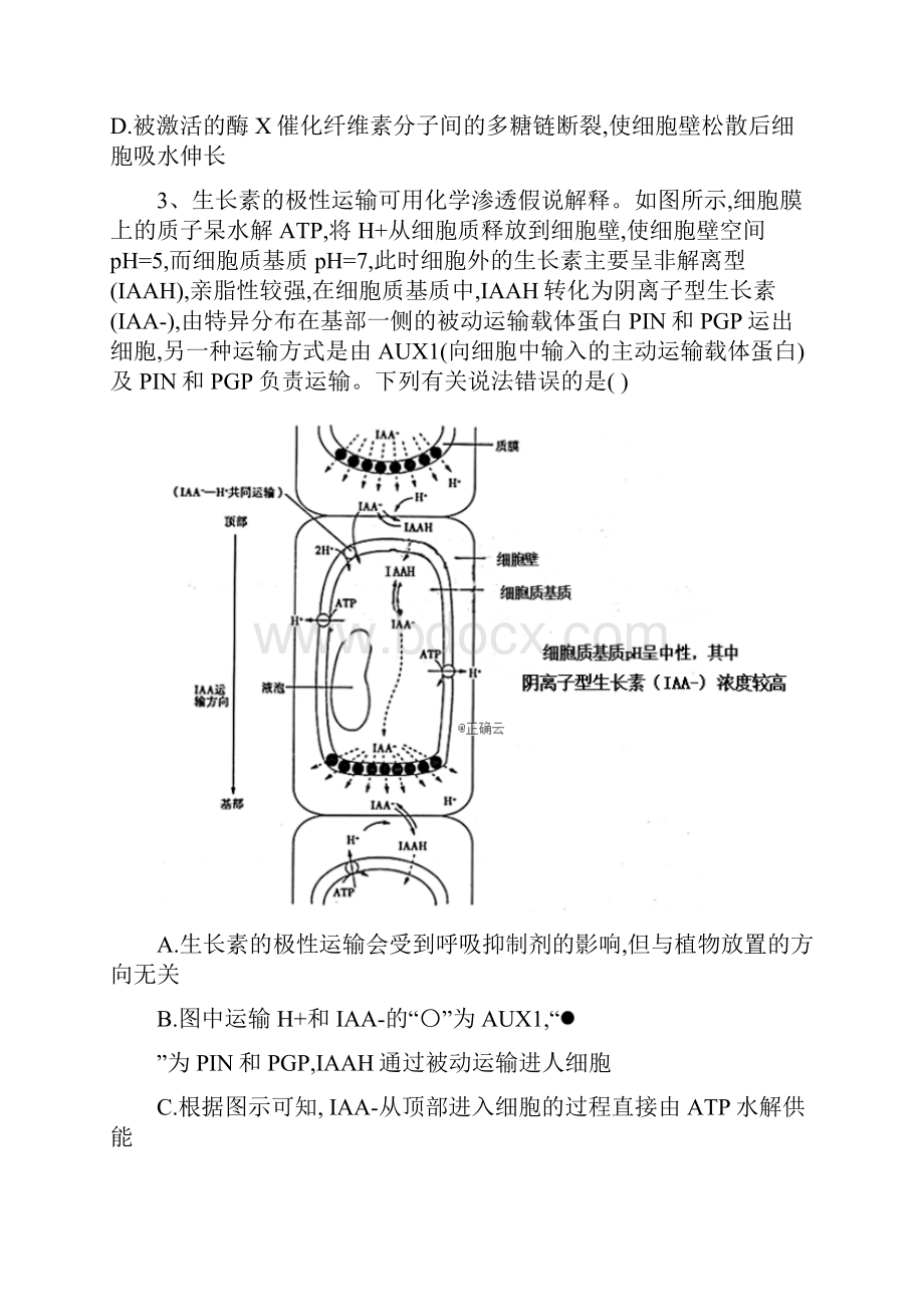 届高考生物同步复习专题系统练 专题9植物的激素调节 Word版含答案.docx_第2页