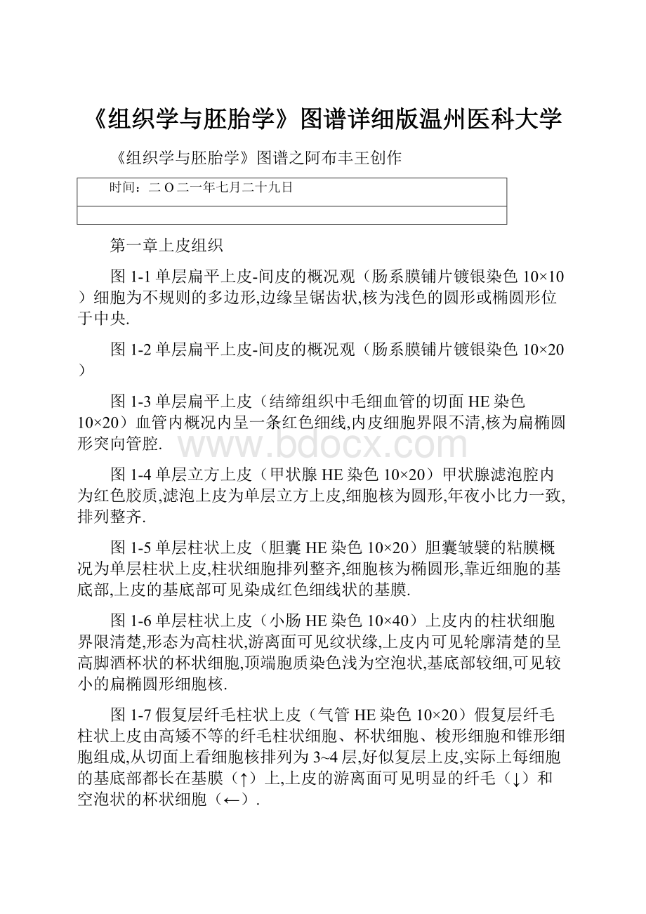 《组织学与胚胎学》图谱详细版温州医科大学.docx_第1页