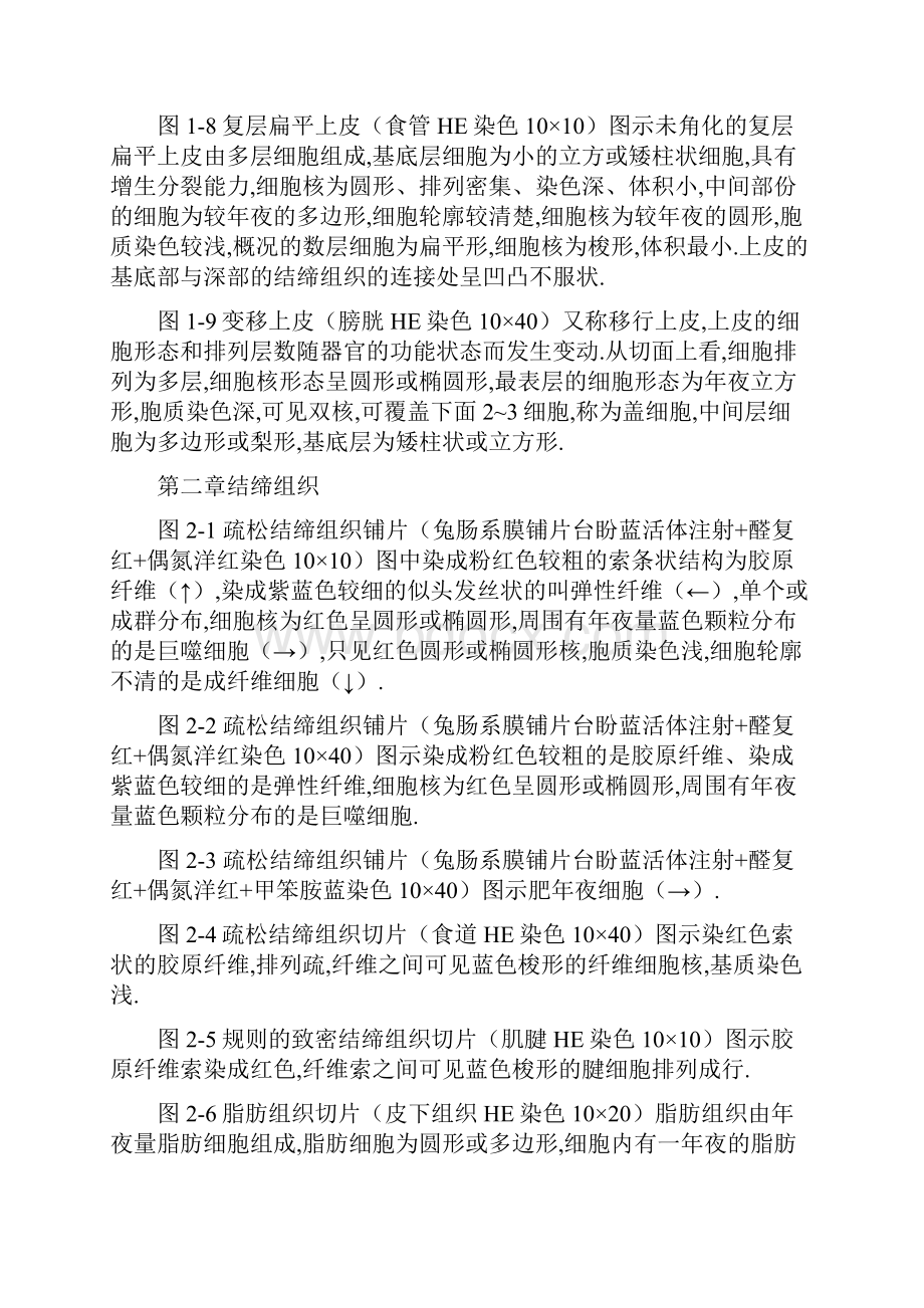 《组织学与胚胎学》图谱详细版温州医科大学.docx_第2页