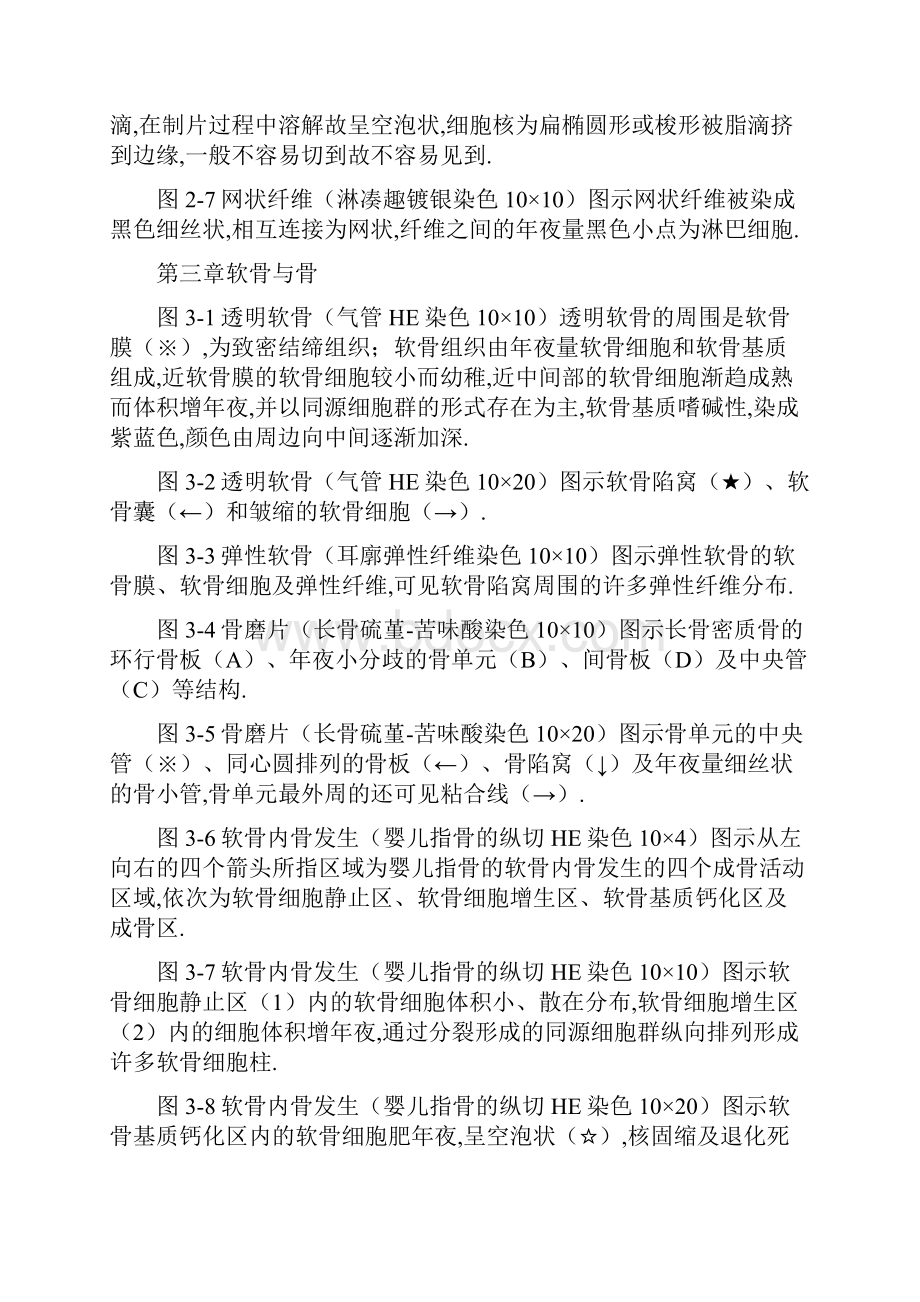 《组织学与胚胎学》图谱详细版温州医科大学.docx_第3页