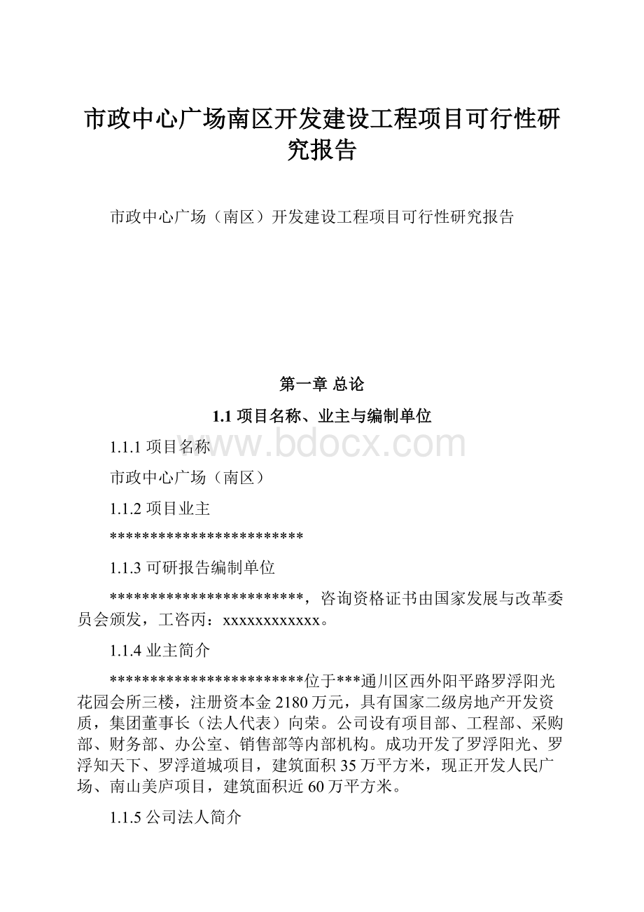 市政中心广场南区开发建设工程项目可行性研究报告.docx