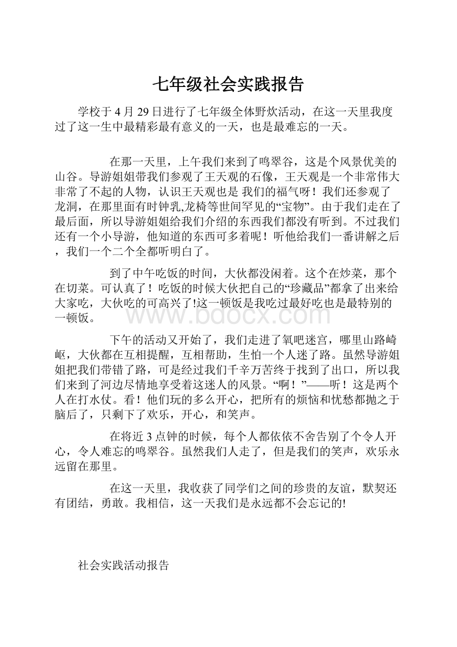 七年级社会实践报告.docx