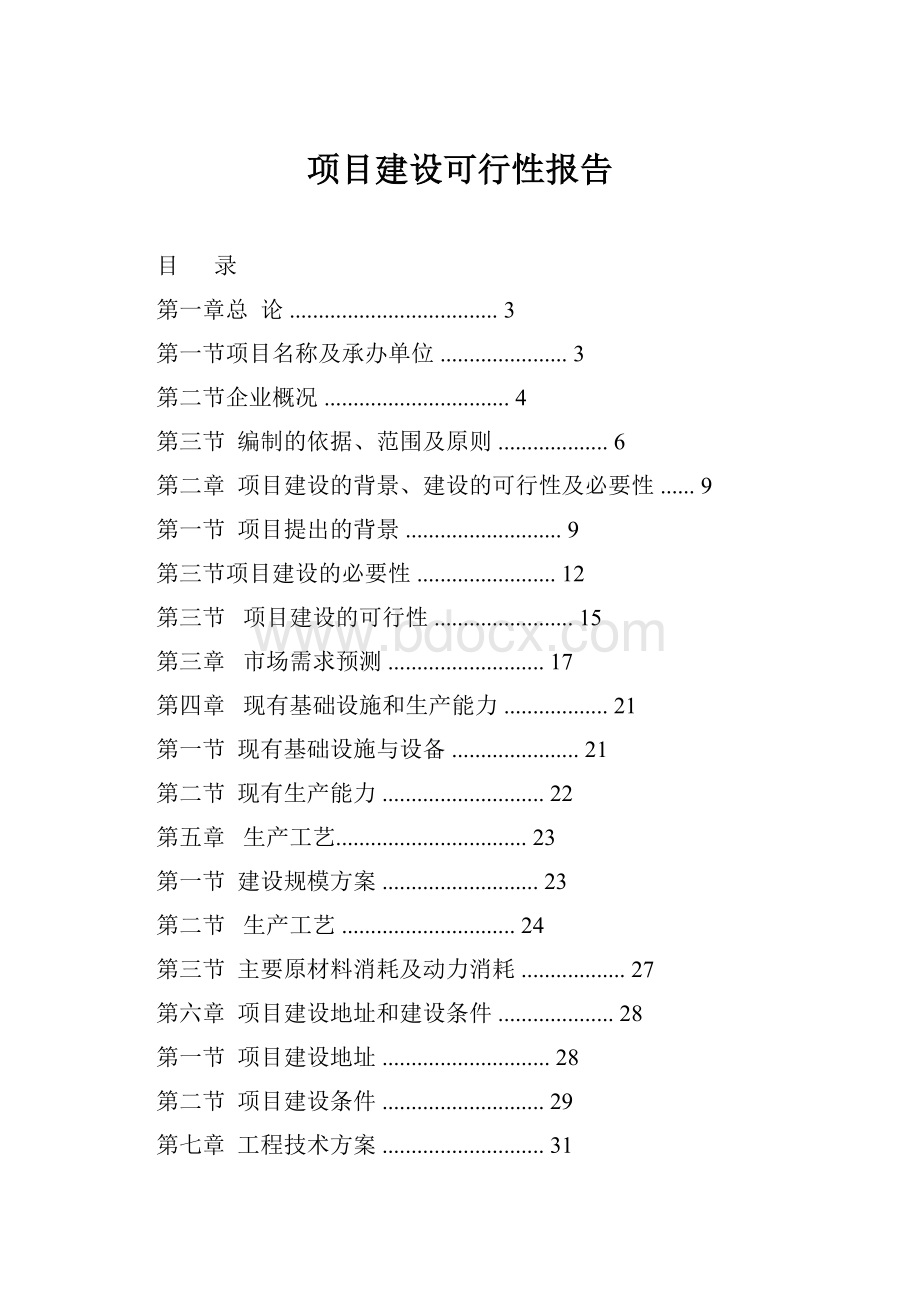 项目建设可行性报告Word格式文档下载.docx_第1页