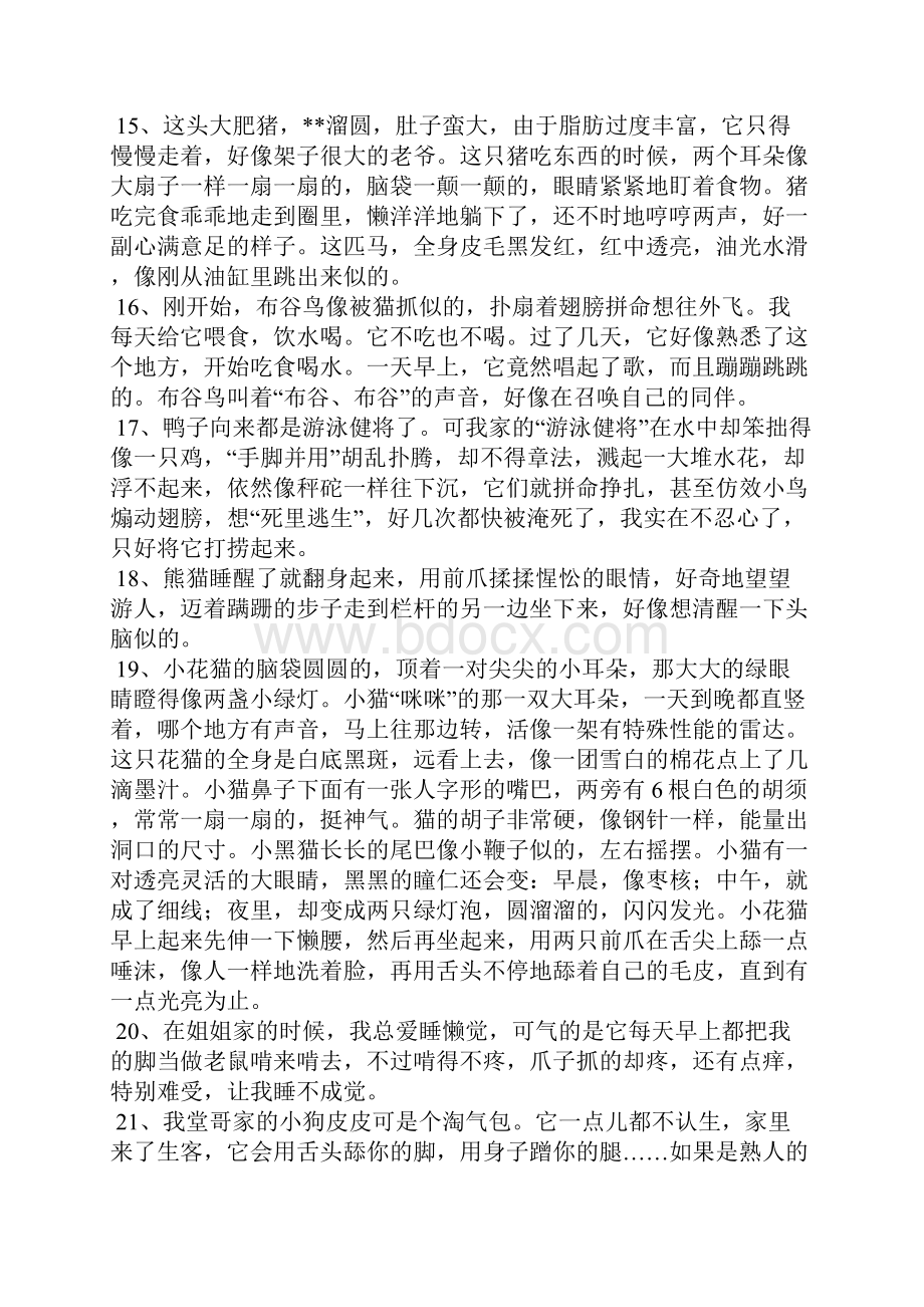 关于动物动作的句子.docx_第3页