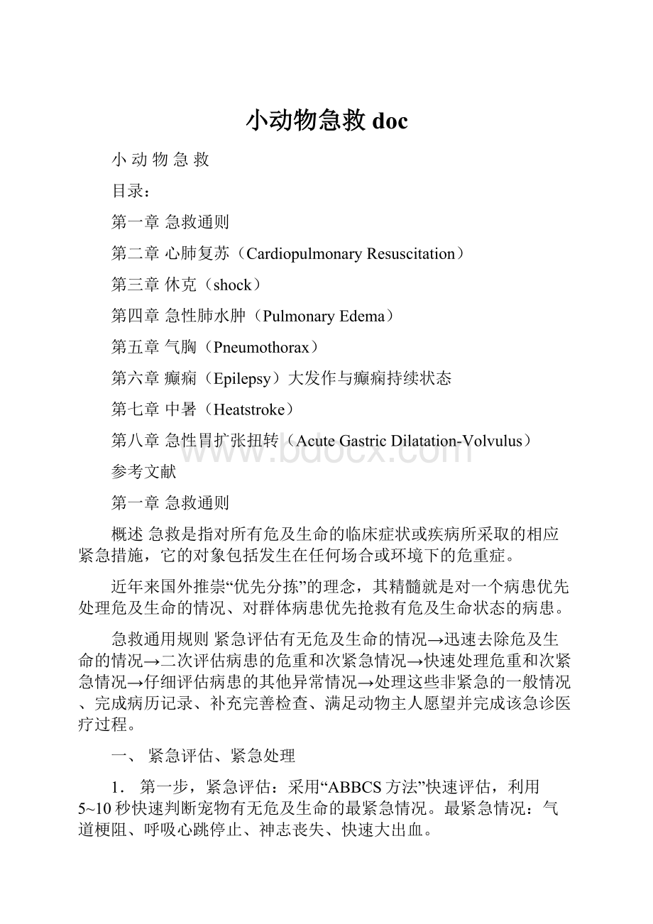 小动物急救docWord格式.docx_第1页