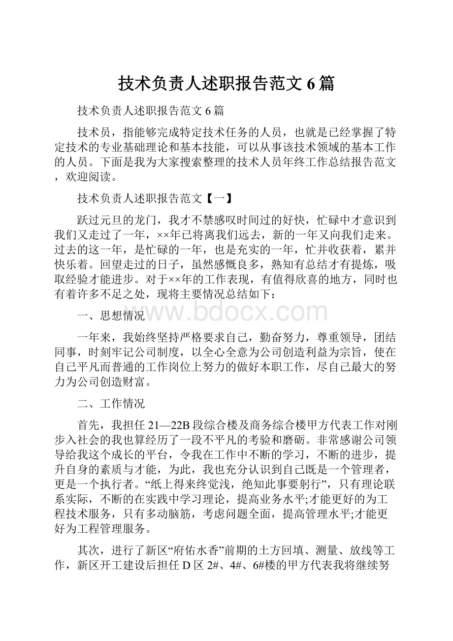 技术负责人述职报告范文6篇文档格式.docx_第1页