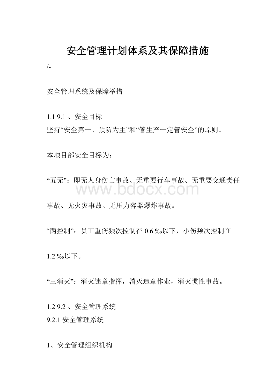 安全管理计划体系及其保障措施.docx