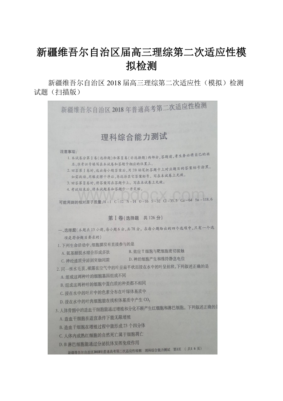 新疆维吾尔自治区届高三理综第二次适应性模拟检测.docx