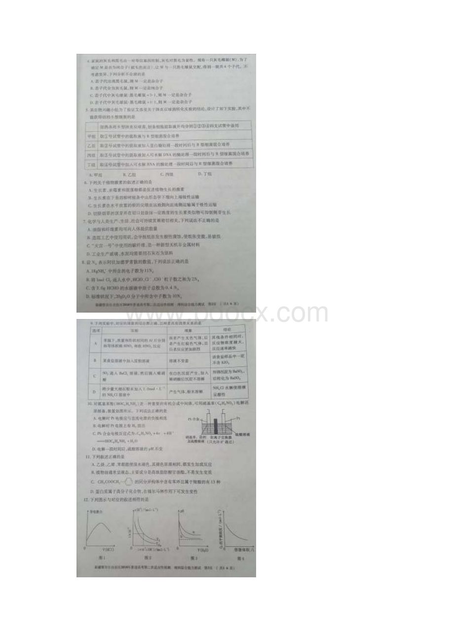 新疆维吾尔自治区届高三理综第二次适应性模拟检测.docx_第2页