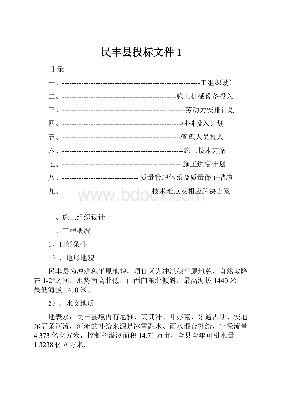 民丰县投标文件1.docx