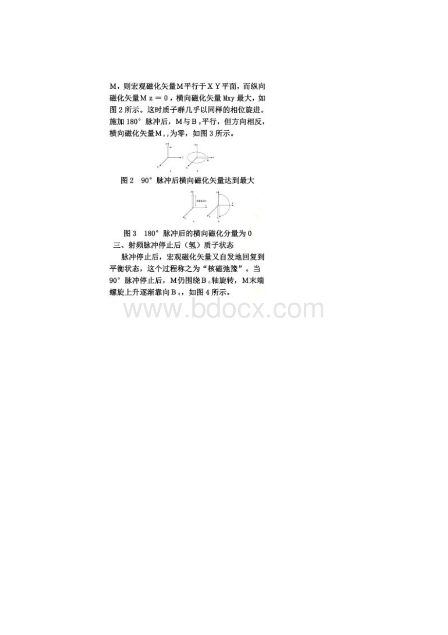 核磁共振成像实验报告.docx_第3页