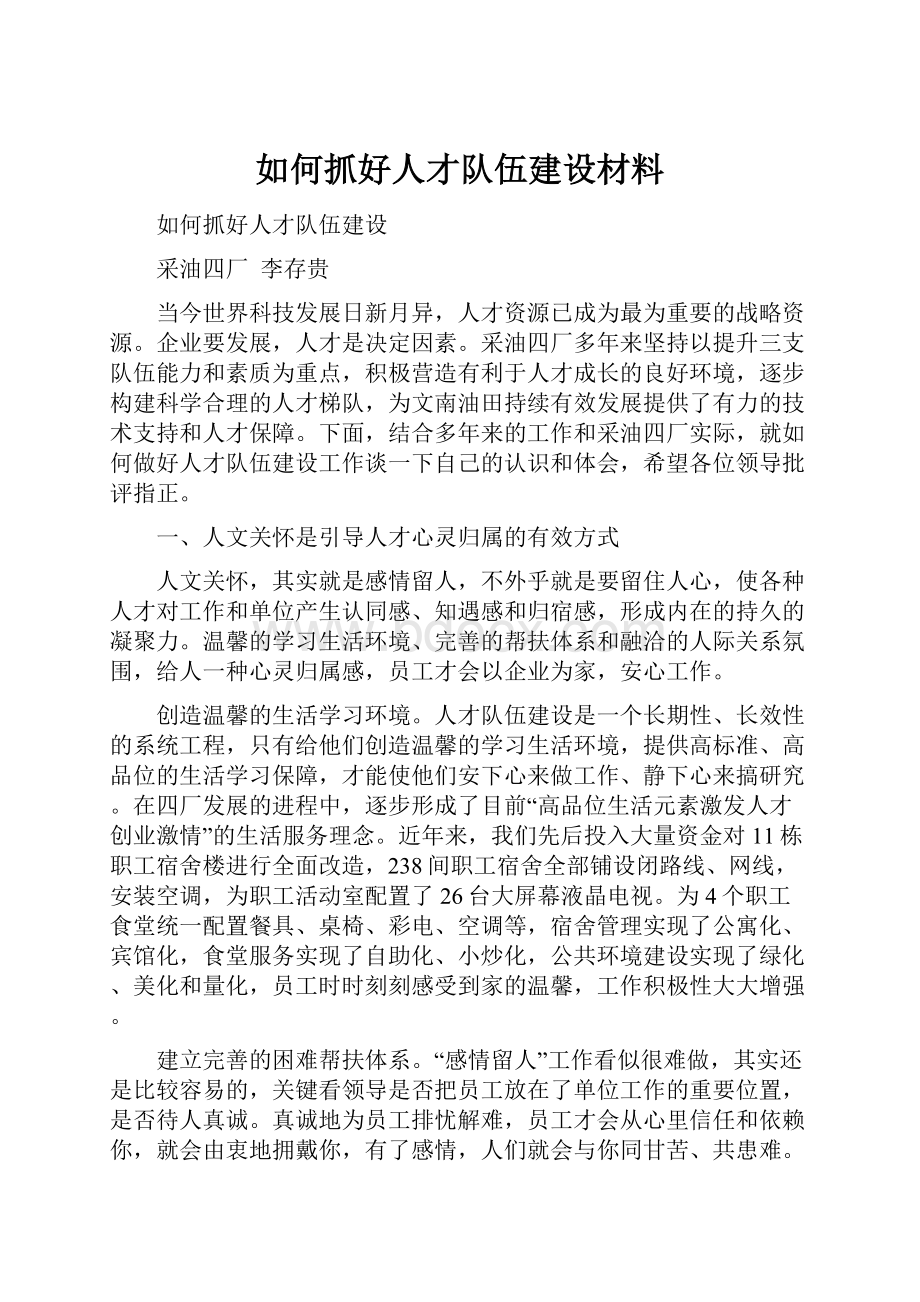 如何抓好人才队伍建设材料.docx