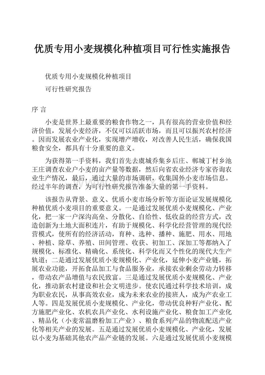 优质专用小麦规模化种植项目可行性实施报告.docx_第1页