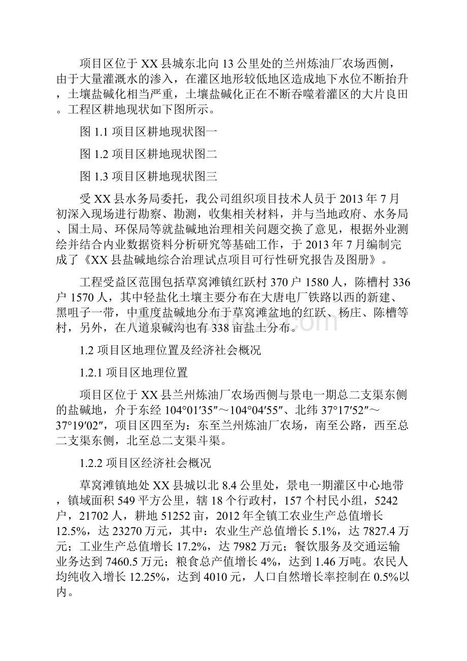 某县盐碱地综合治理试点项目可行性研究报告.docx_第2页