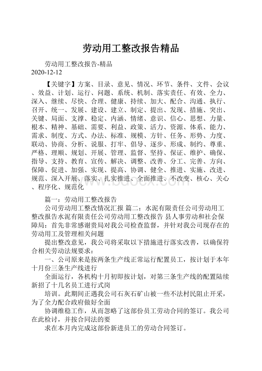 劳动用工整改报告精品.docx