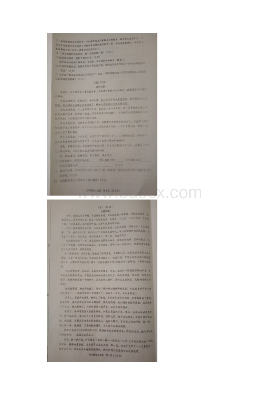 山东省垦利区学年六年级语文上学期期中试题鲁教版五四制.docx_第3页