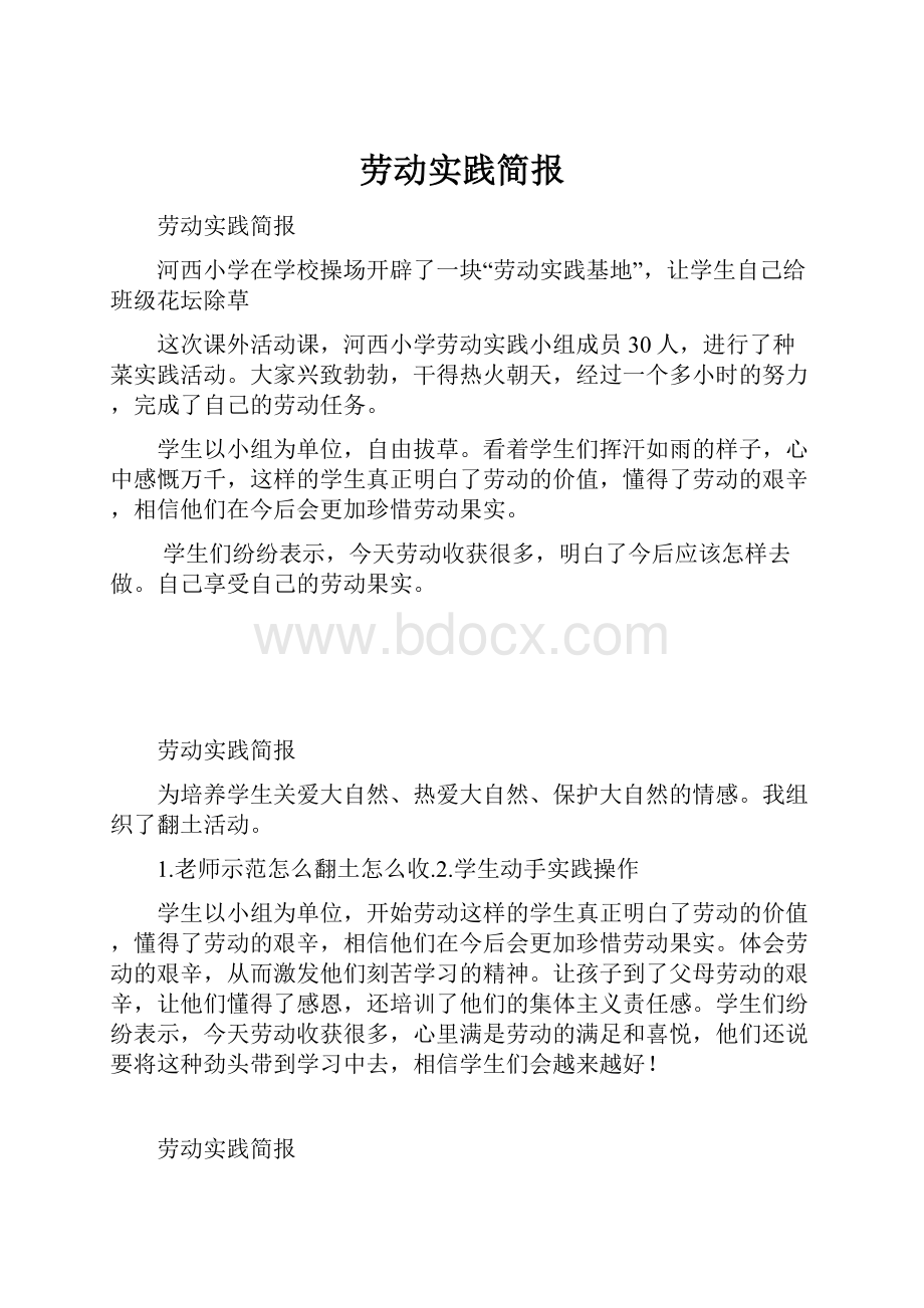 劳动实践简报Word格式文档下载.docx