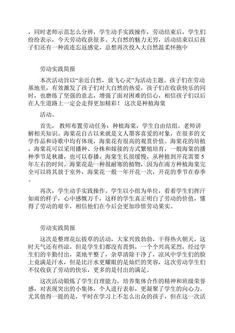 劳动实践简报Word格式文档下载.docx_第3页