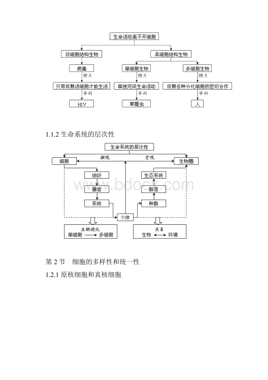 高一生物必修一概念图总汇编1.docx_第3页