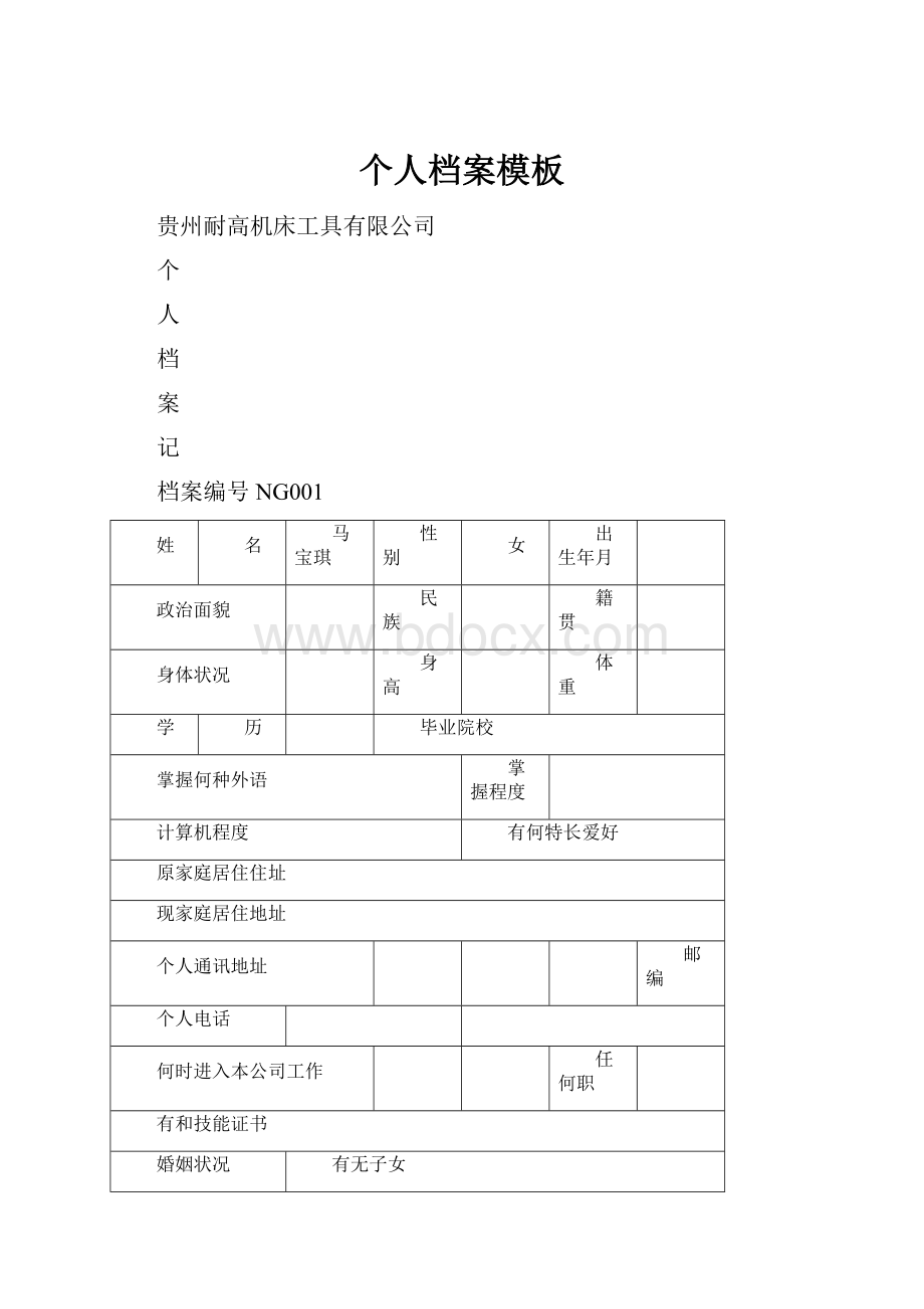 个人档案模板.docx_第1页