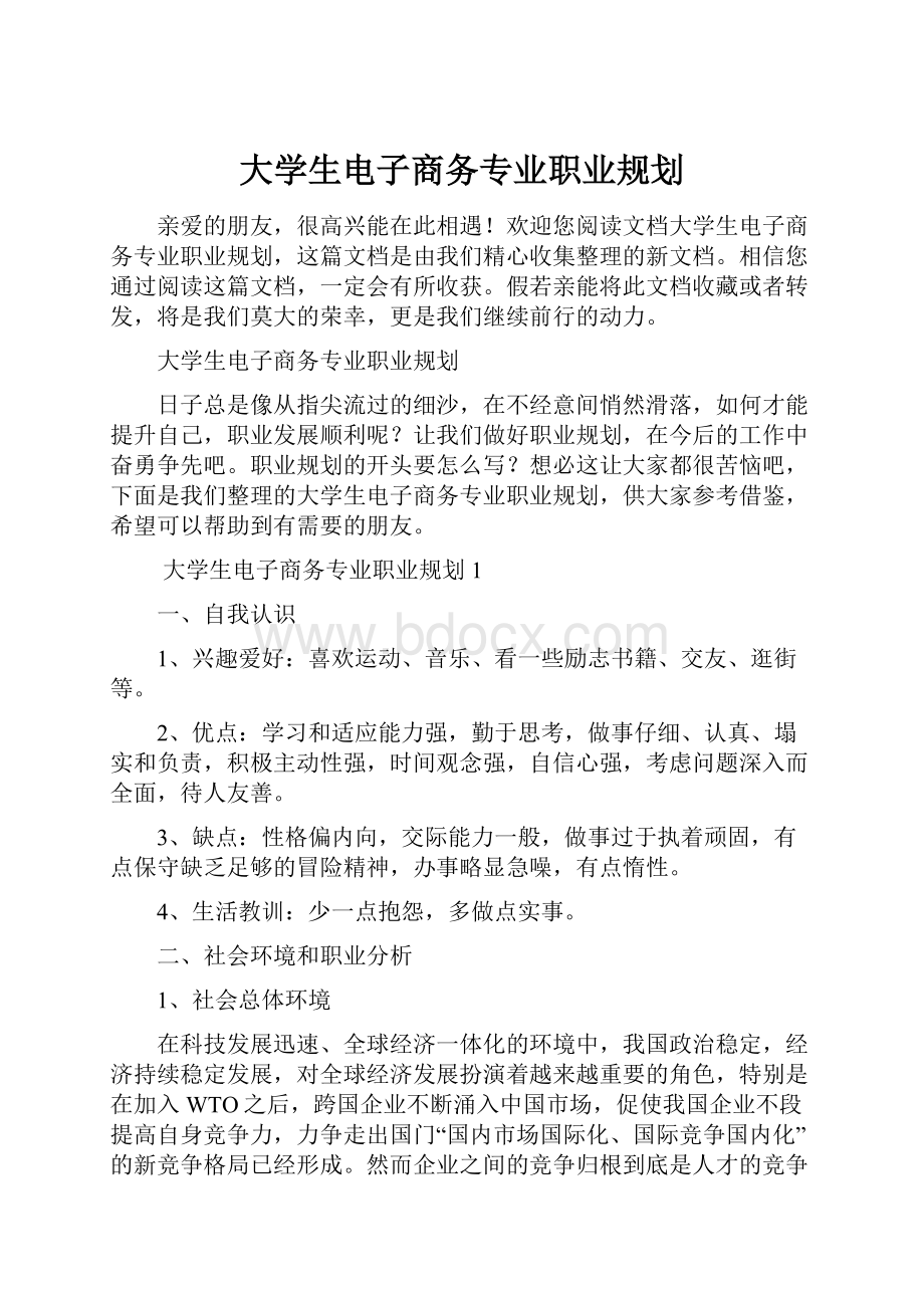 大学生电子商务专业职业规划Word文档格式.docx