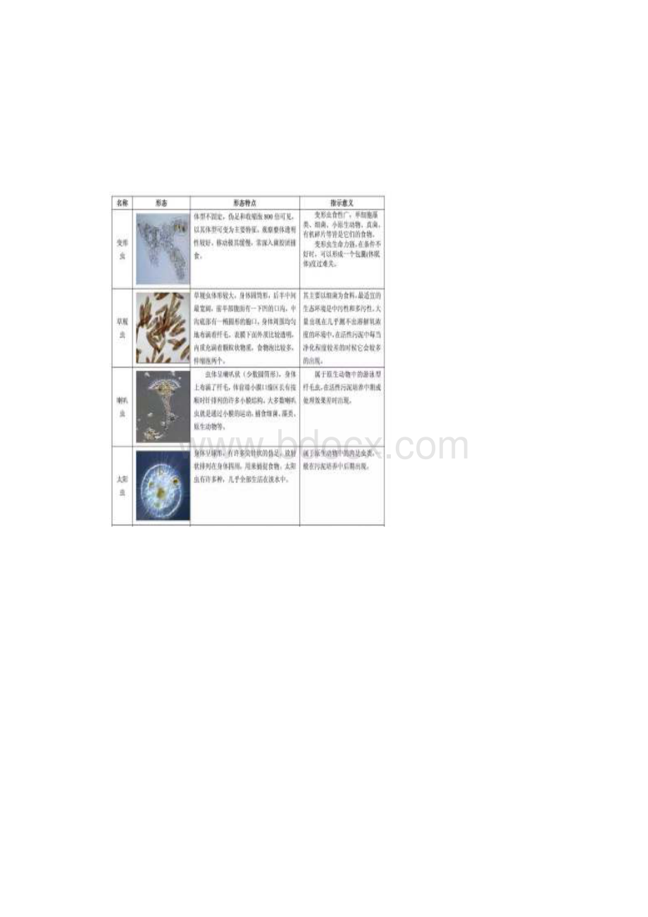 最新微生物镜检及运行判断备课讲稿.docx_第3页