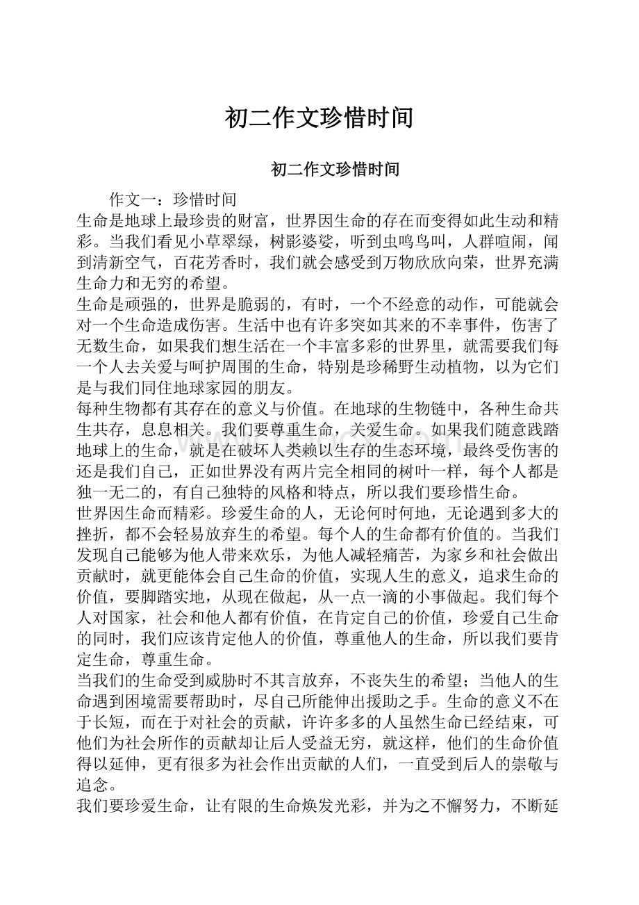 初二作文珍惜时间.docx