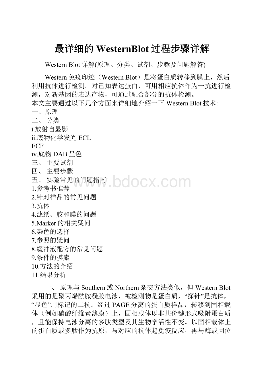 最详细的WesternBlot过程步骤详解.docx_第1页