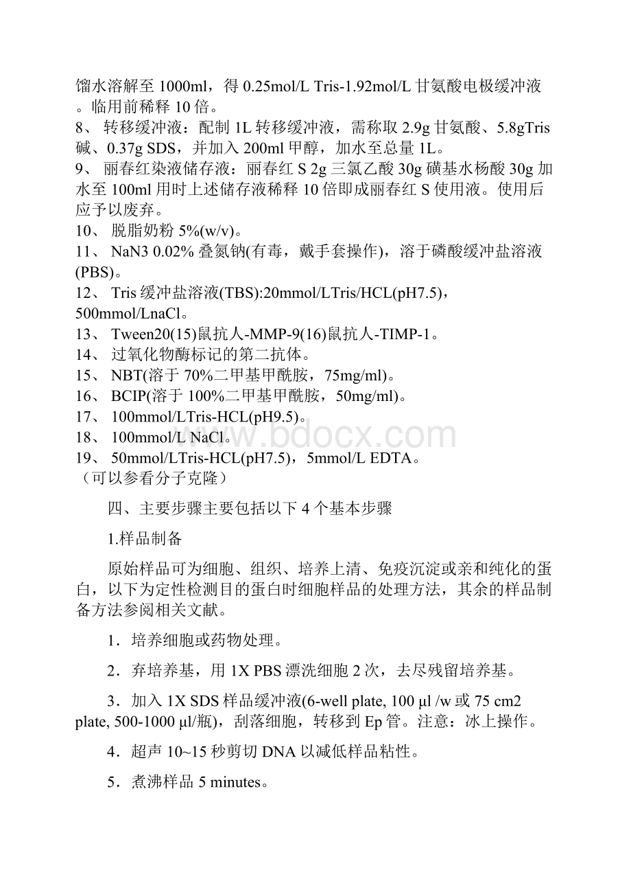 最详细的WesternBlot过程步骤详解.docx_第3页