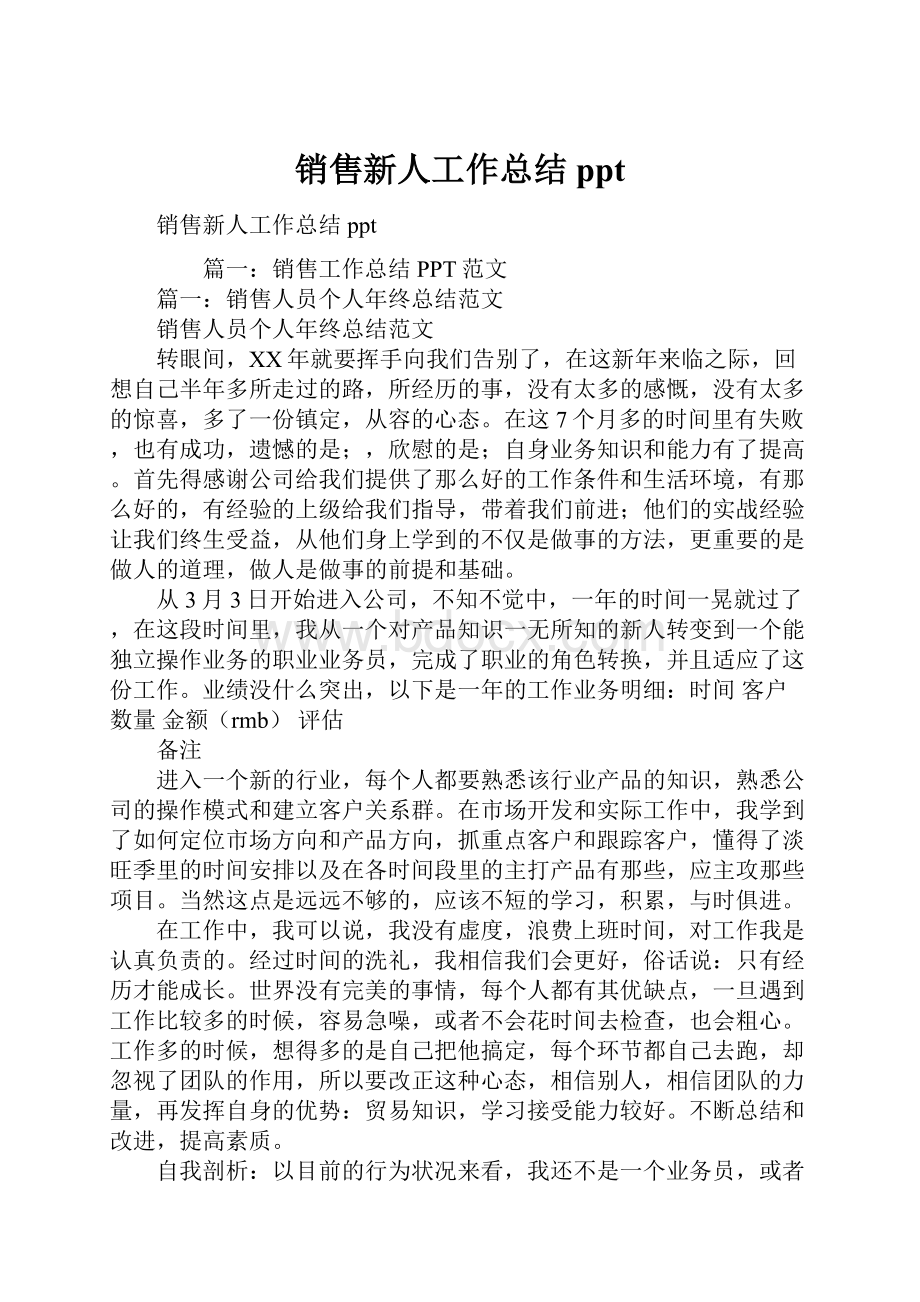 销售新人工作总结ppt.docx_第1页