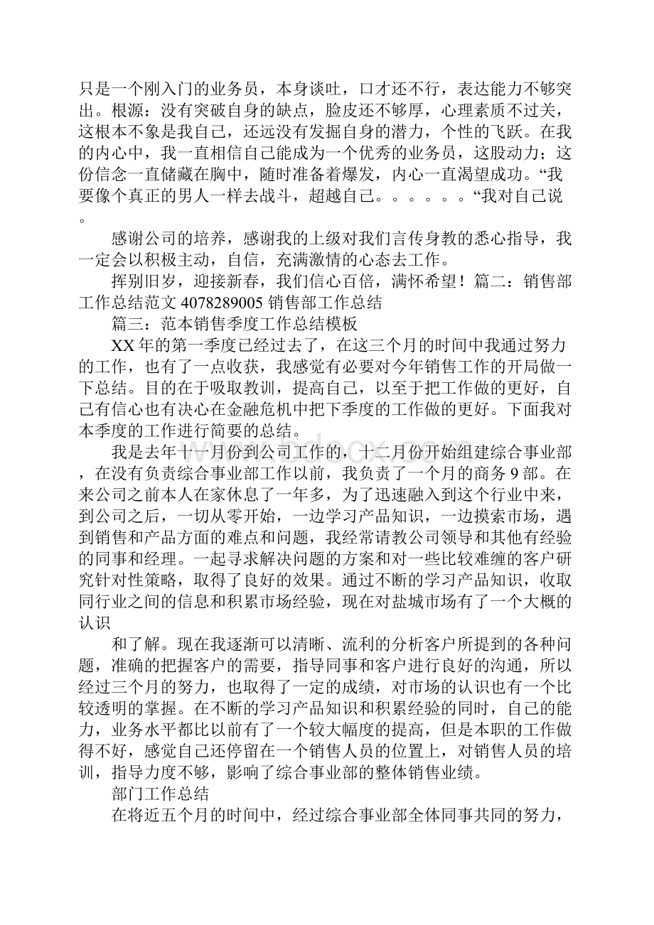 销售新人工作总结ppt.docx_第2页