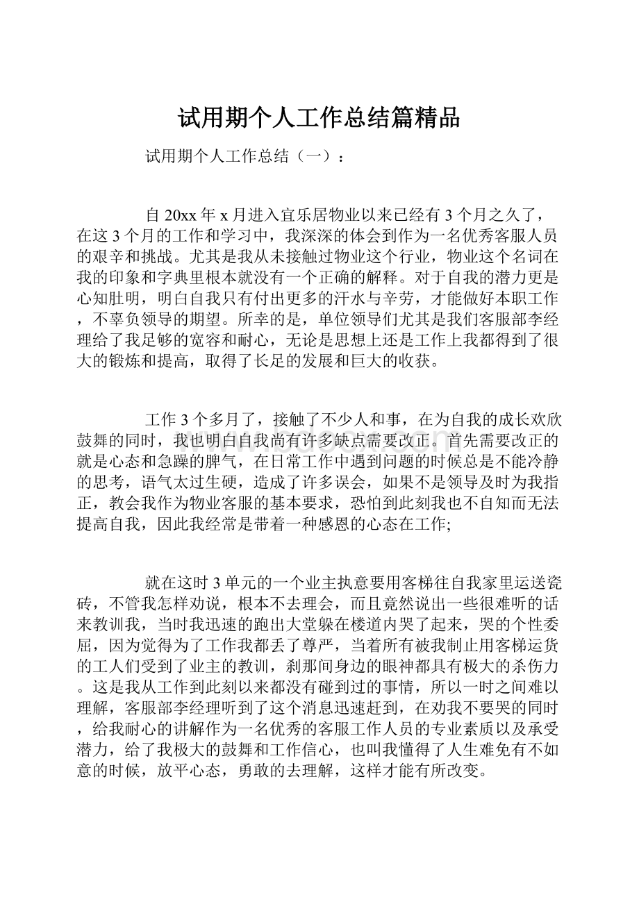 试用期个人工作总结篇精品.docx_第1页