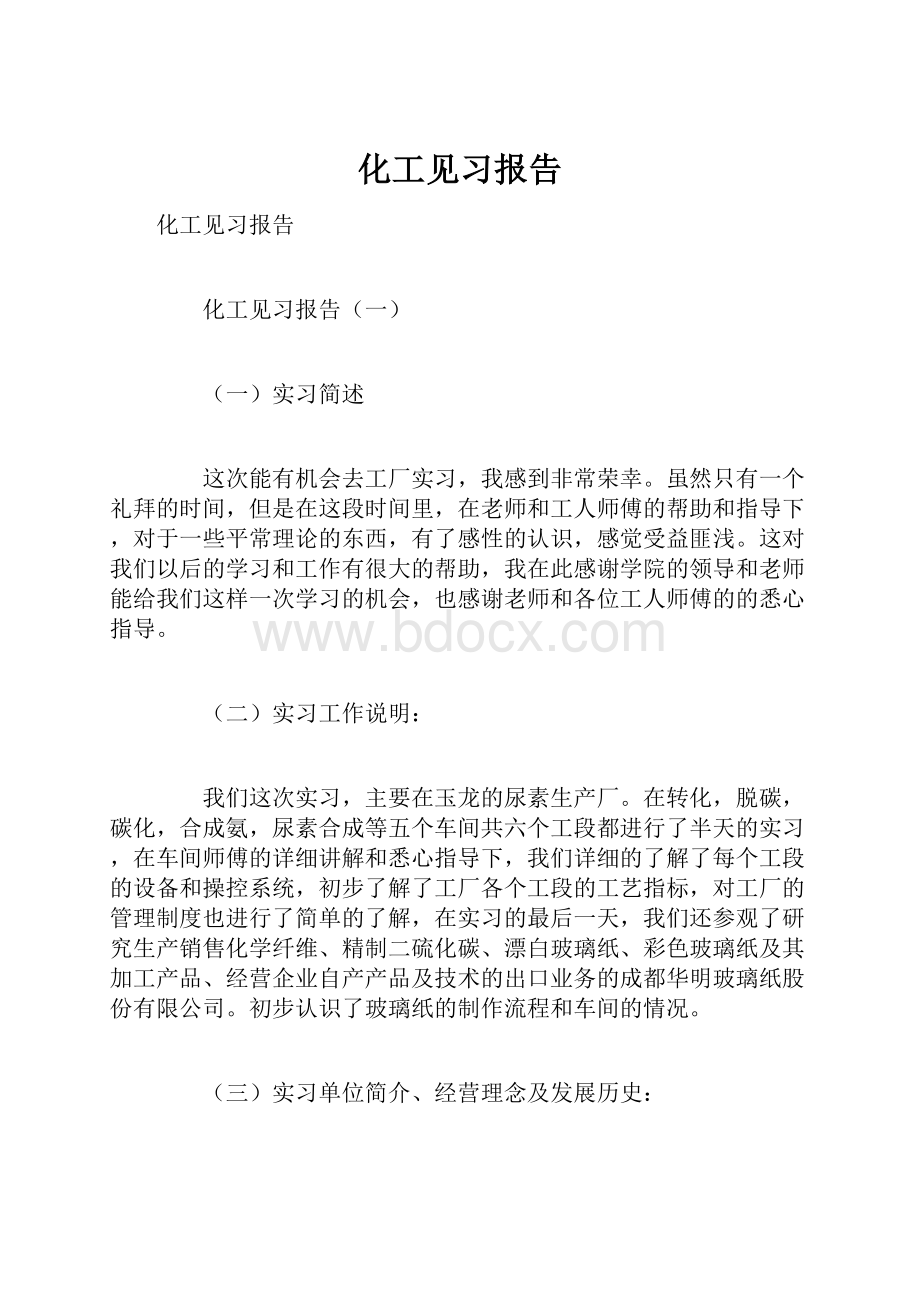 化工见习报告Word文档格式.docx_第1页