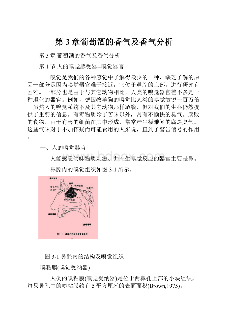 第3章葡萄酒的香气及香气分析.docx_第1页