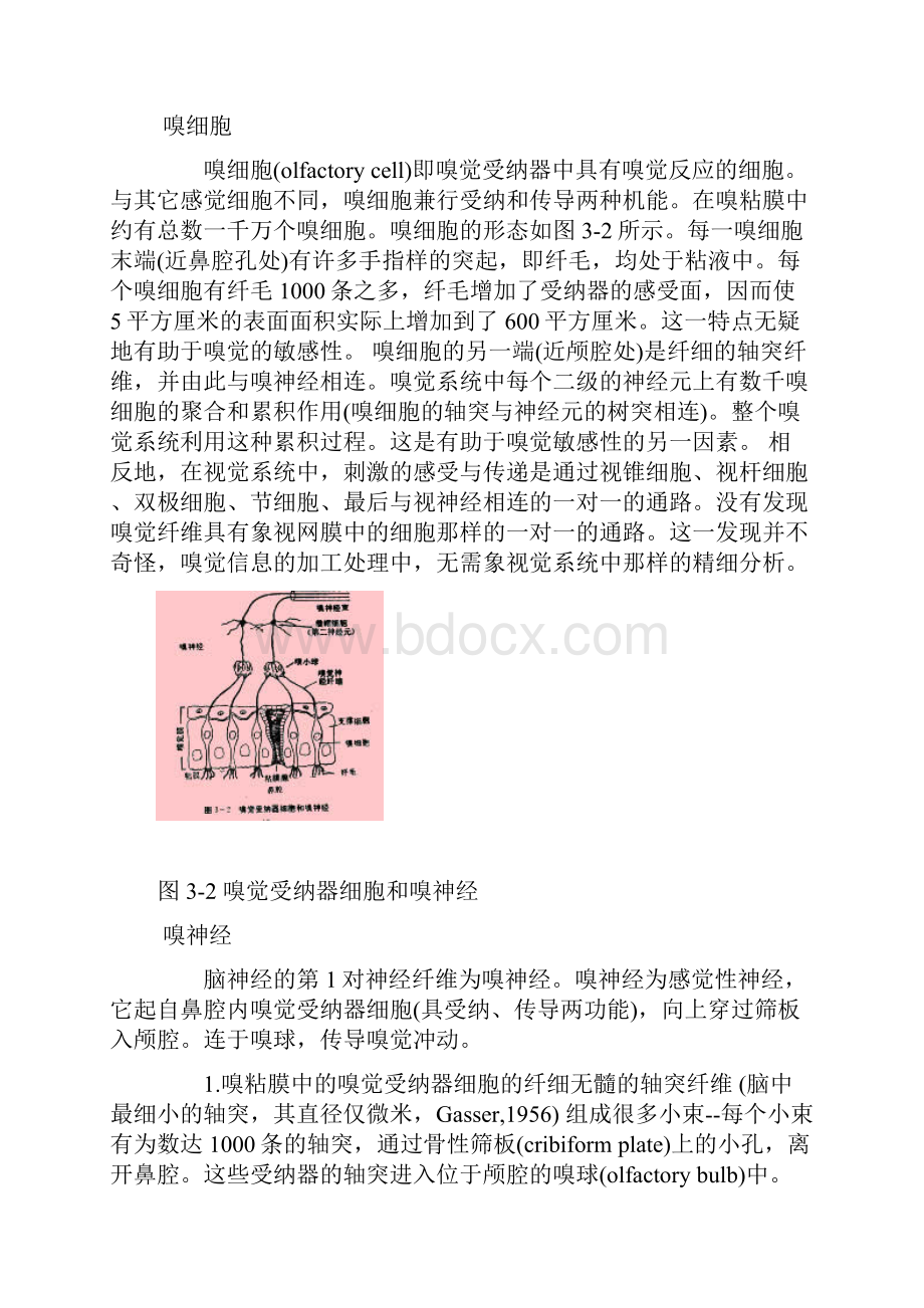 第3章葡萄酒的香气及香气分析.docx_第2页