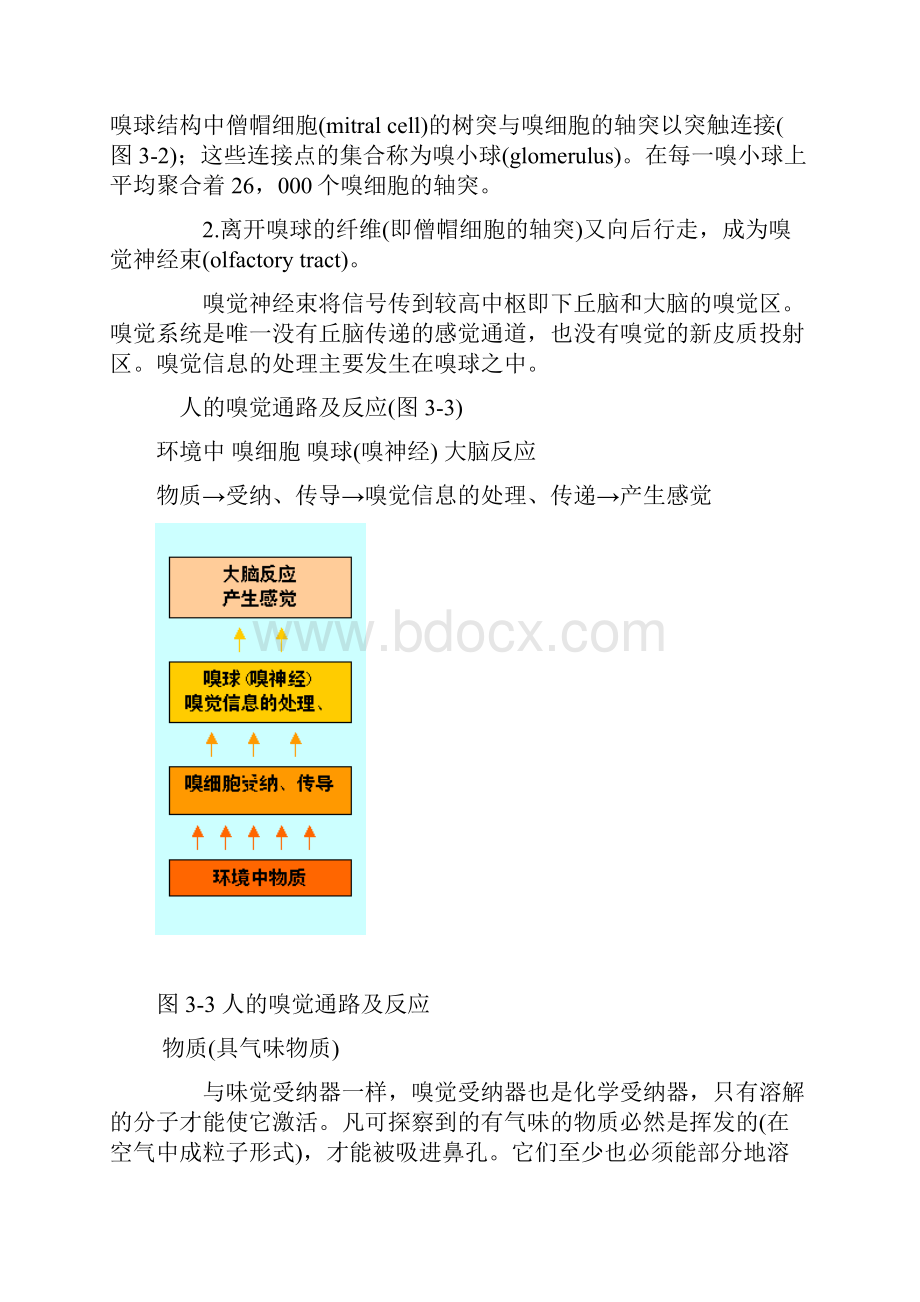 第3章葡萄酒的香气及香气分析.docx_第3页