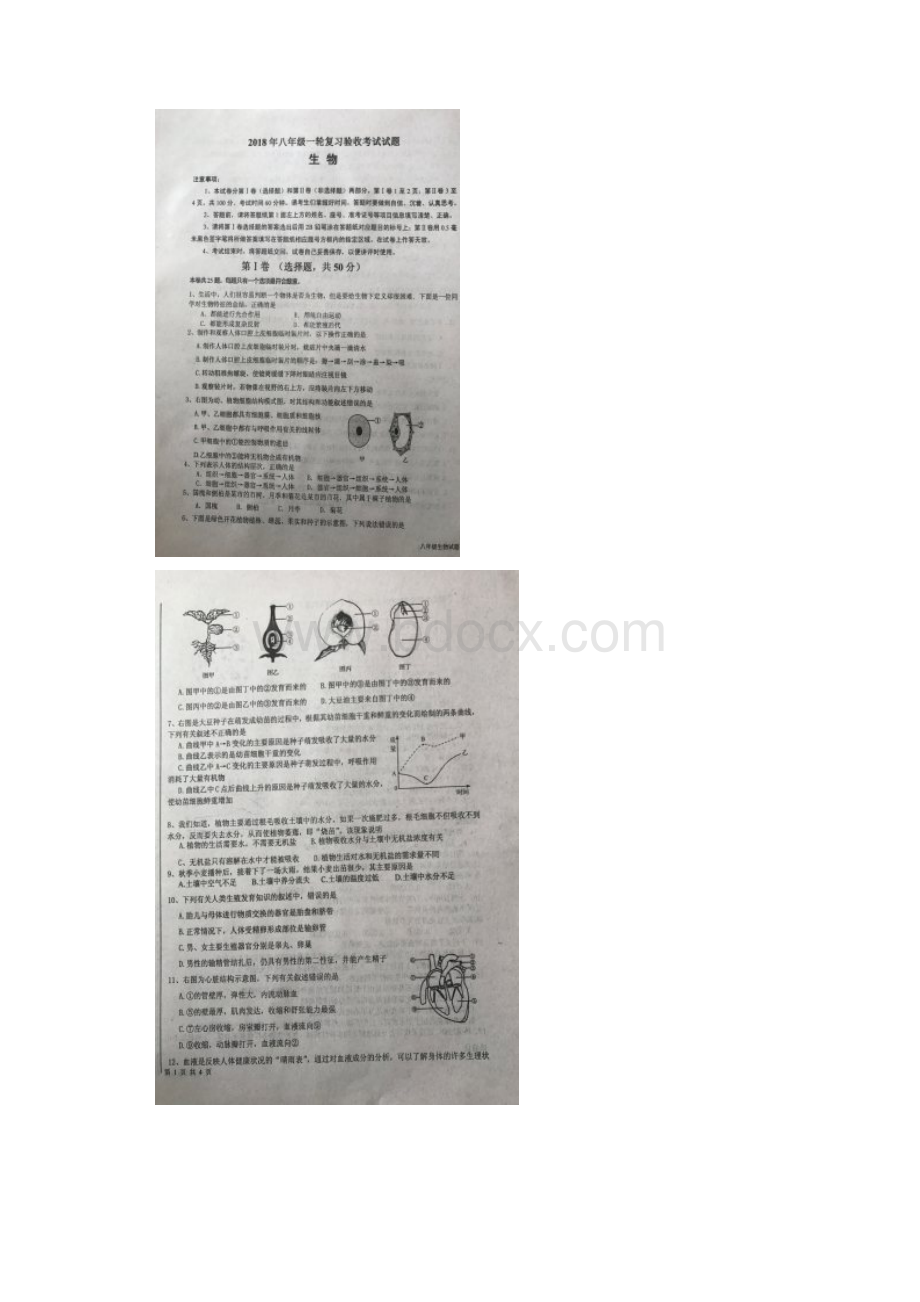 山东省临沂市蒙阴县八年级生物下学期期中试题扫描新人教版整理Word文档格式.docx_第2页