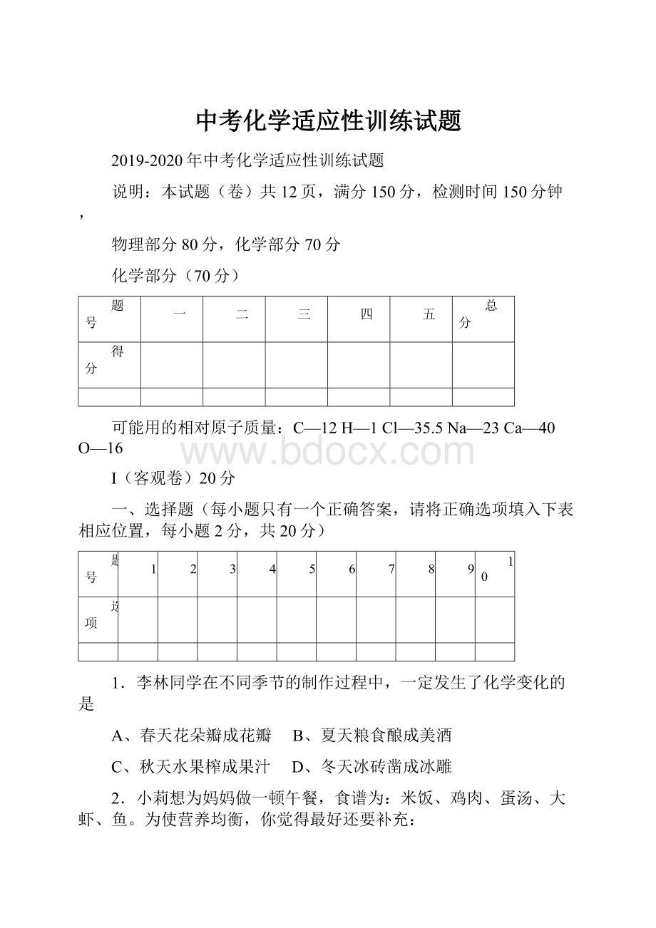 中考化学适应性训练试题.docx_第1页