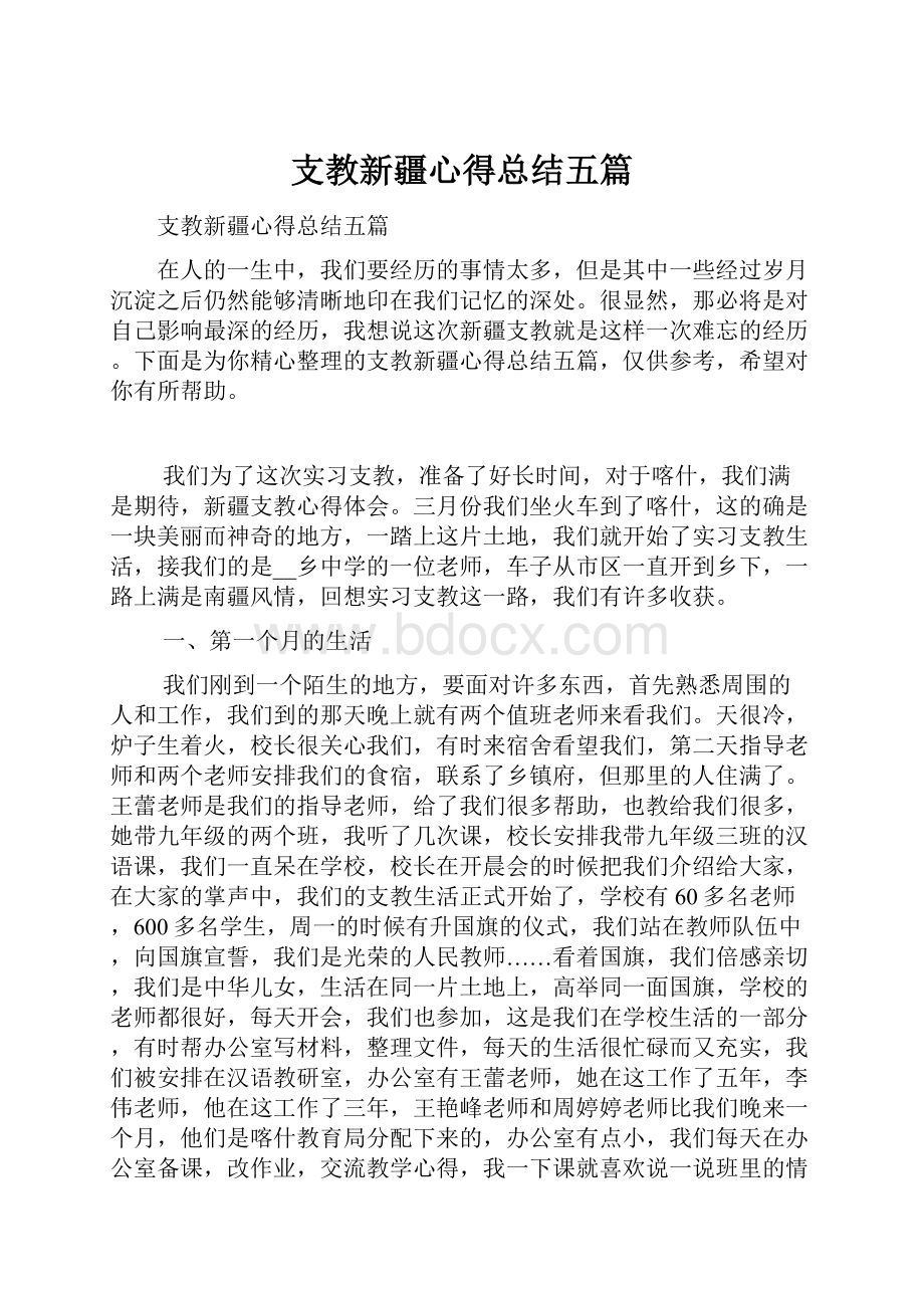 支教新疆心得总结五篇.docx