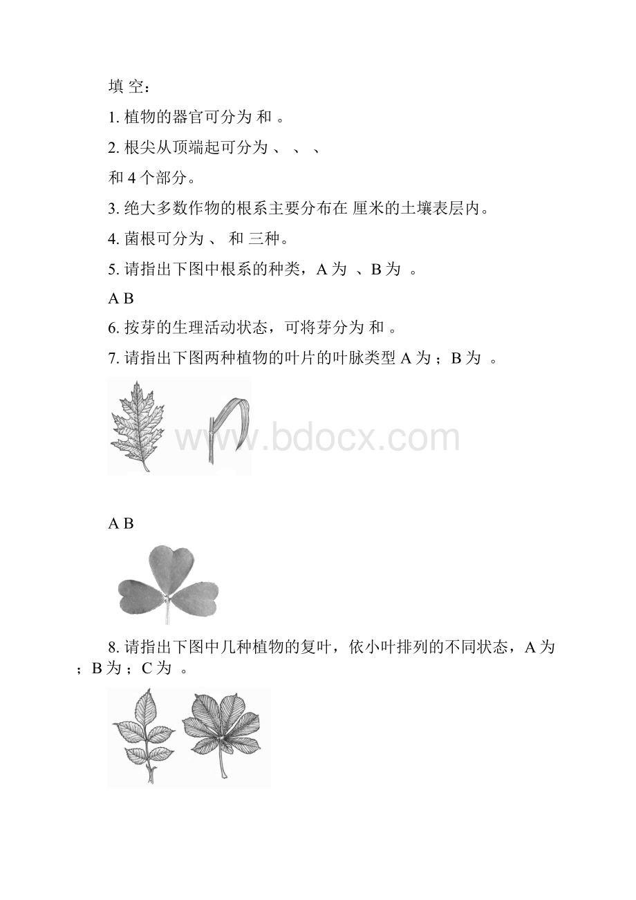 植物与植物生理学各章习题.docx_第2页