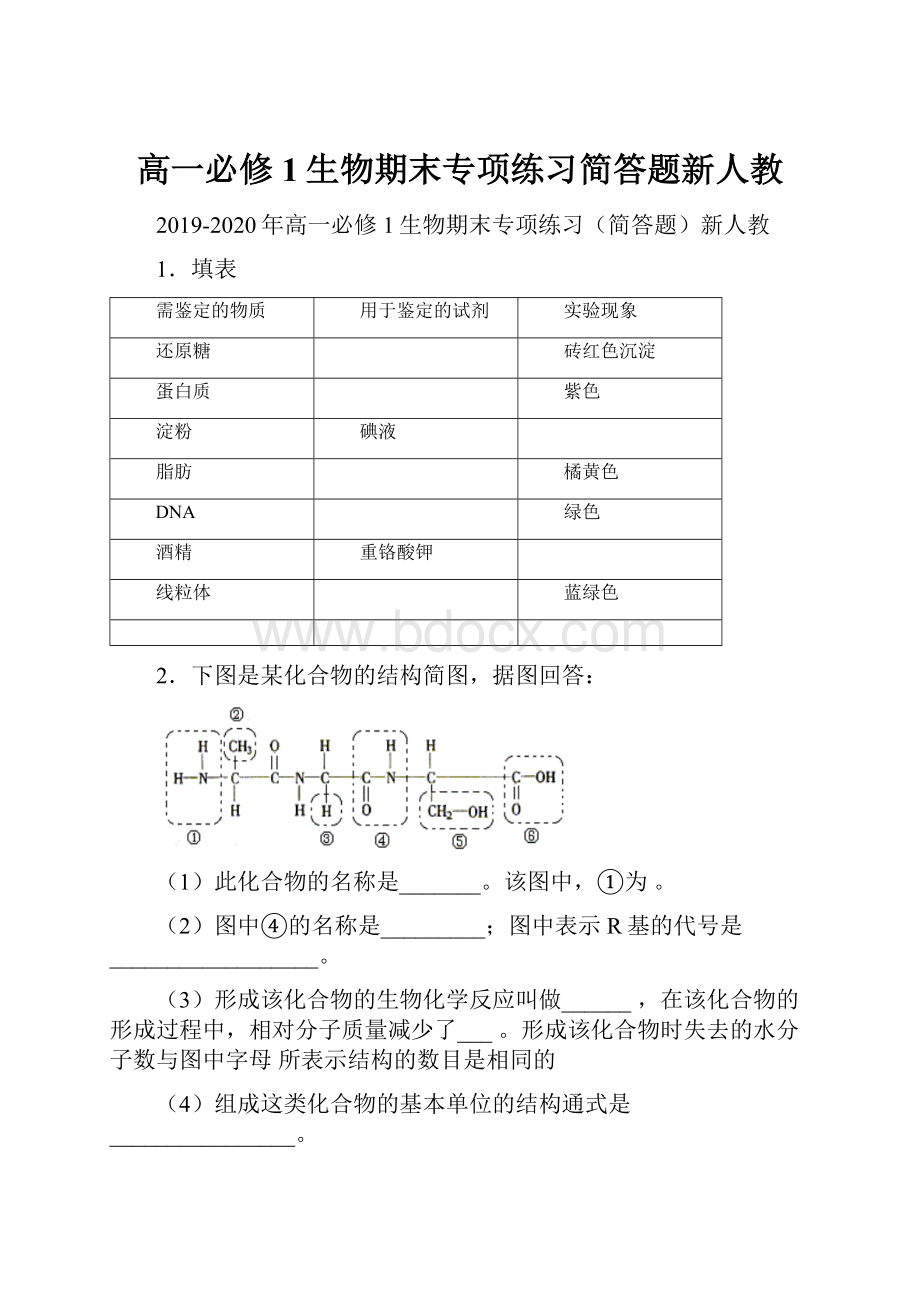 高一必修1生物期末专项练习简答题新人教.docx_第1页