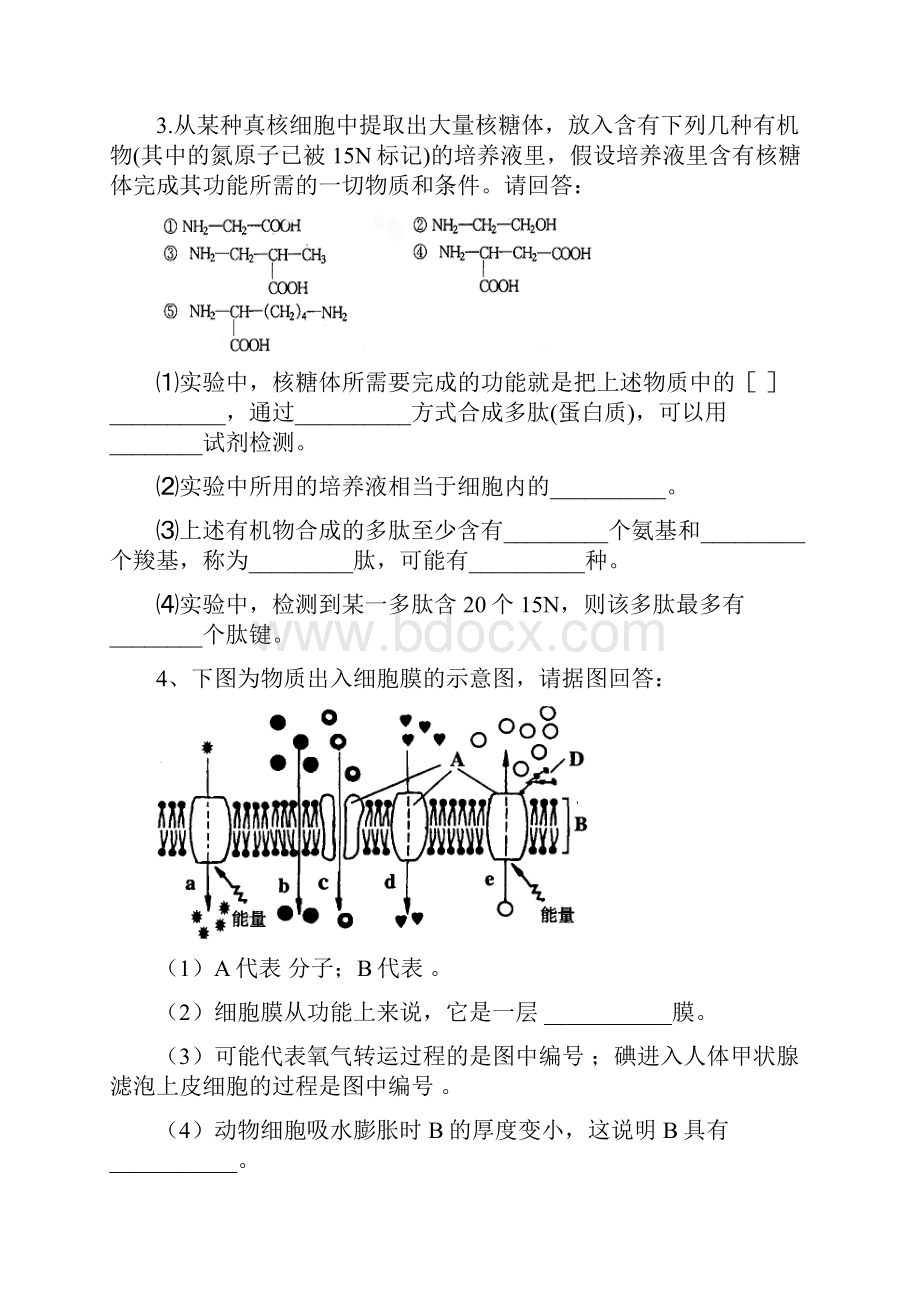 高一必修1生物期末专项练习简答题新人教.docx_第2页